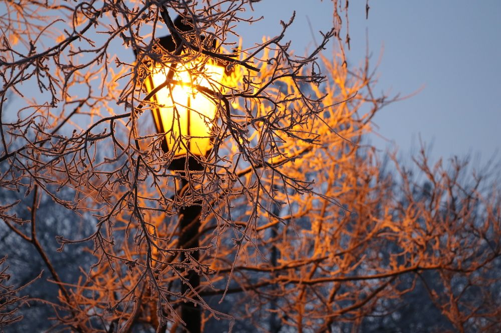 Photograph by Сергей Яковлев