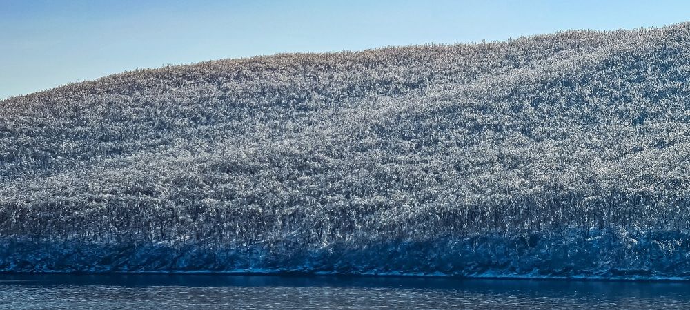 Photograph by Vadim Cherepanov