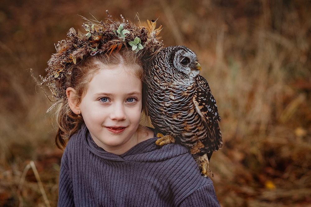 under the owl's wings