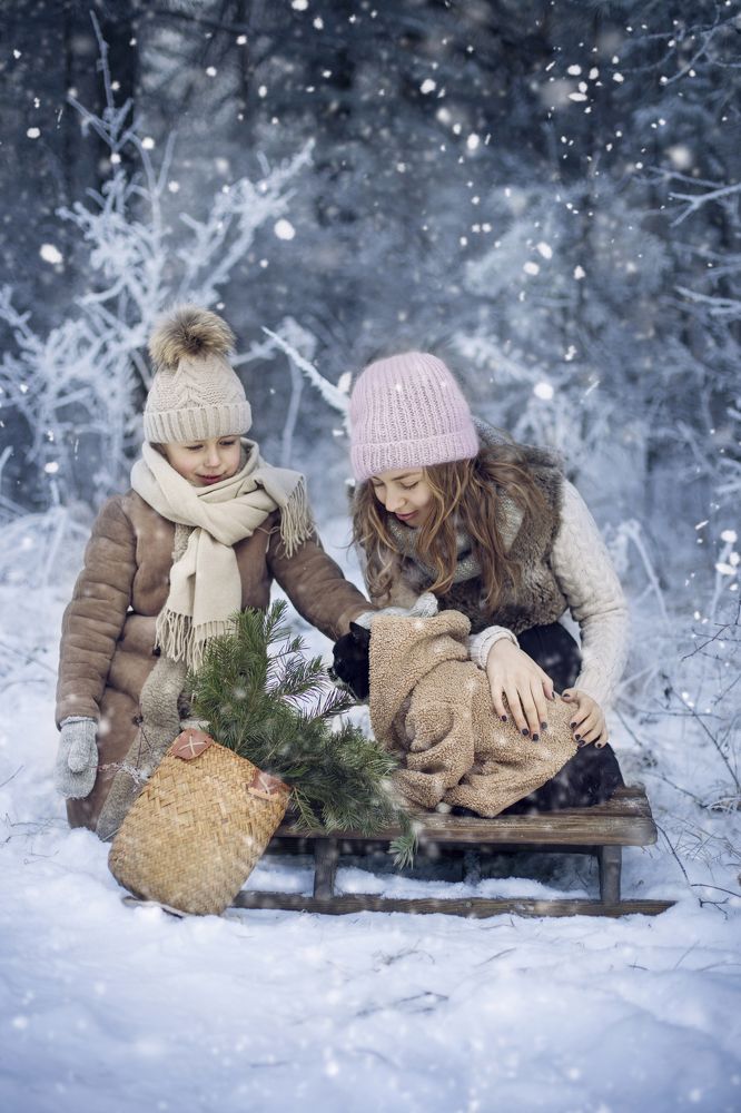 Фотография автора Шутенкова Евгения