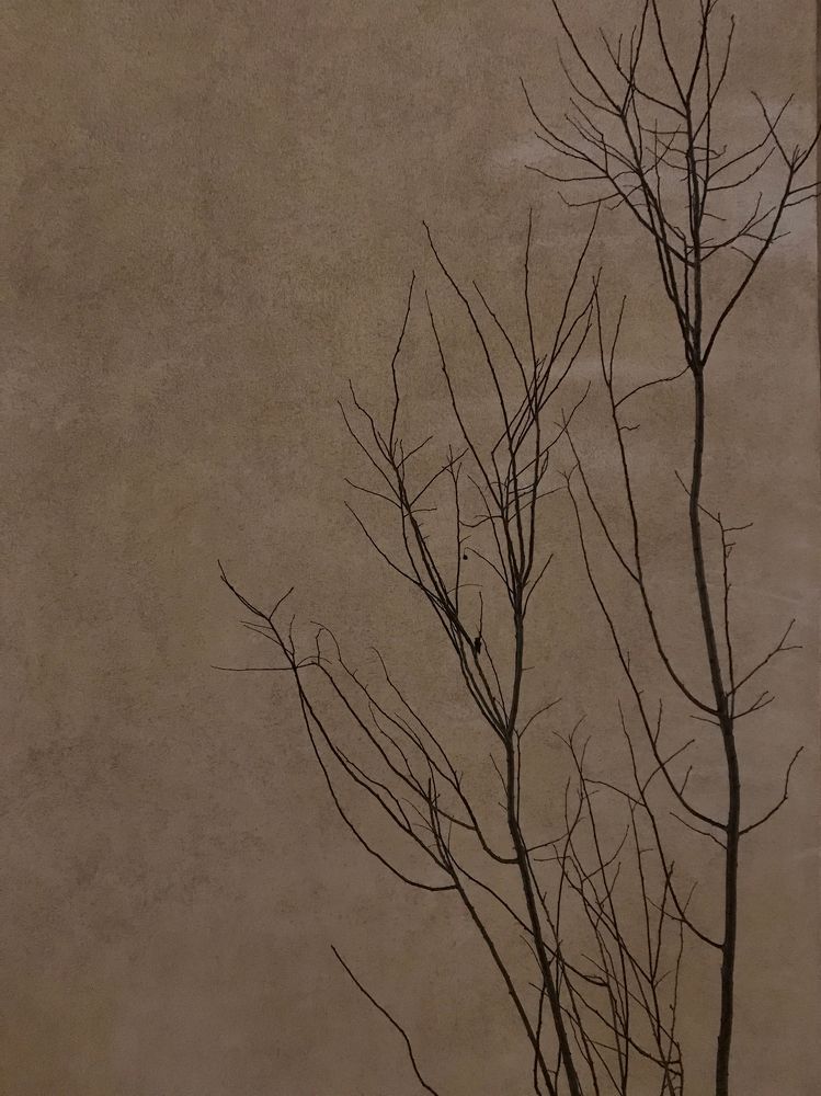 Photograph by Татьяна Богданова