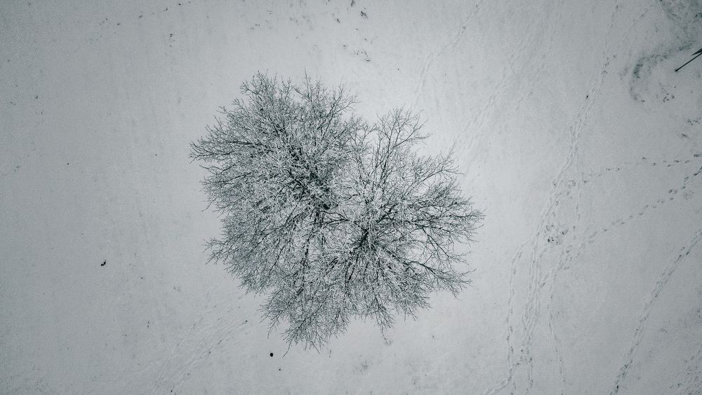 Photograph by Ксения Равойц