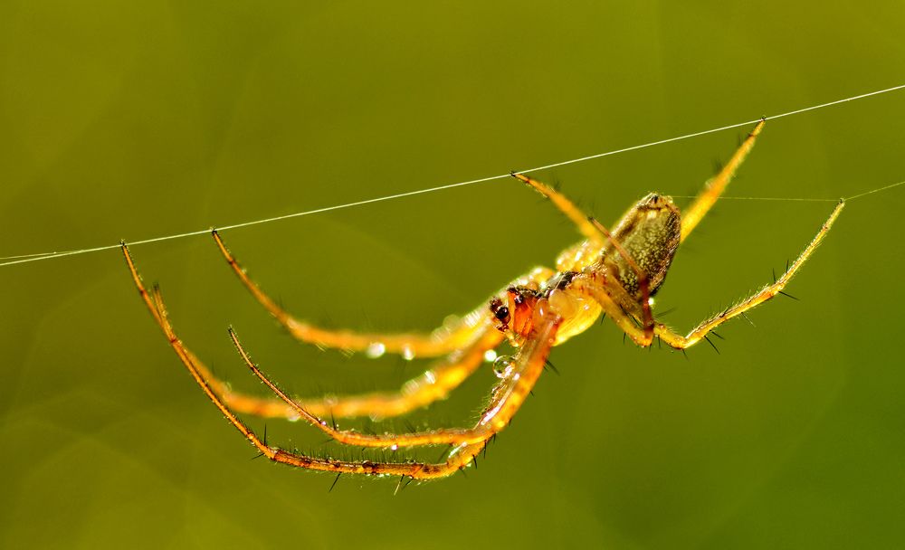 Photograph by Александр Клопков