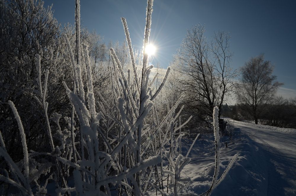 Photograph by Оксана Давыдова