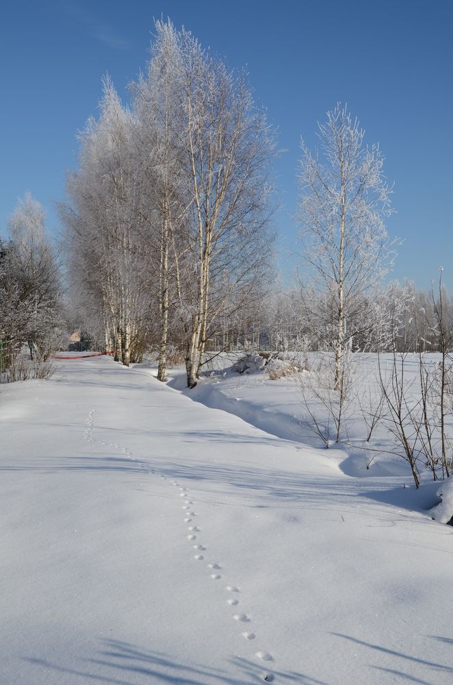 Photograph by Оксана Давыдова