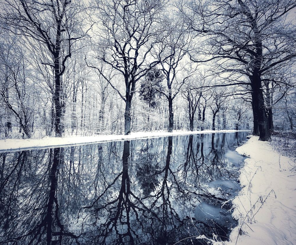 Зеркало для снежной королевы/ Mirror for the Snow Queen