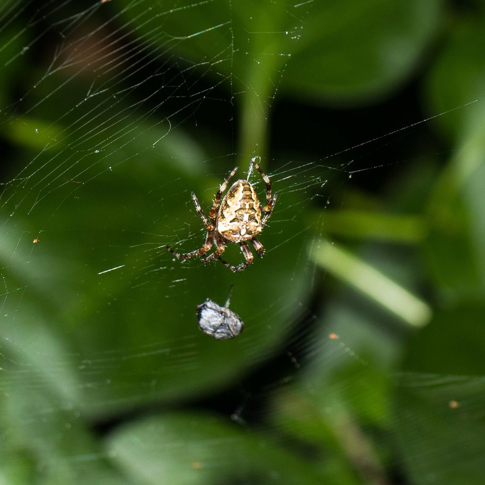 Photograph by Олег Башкуров