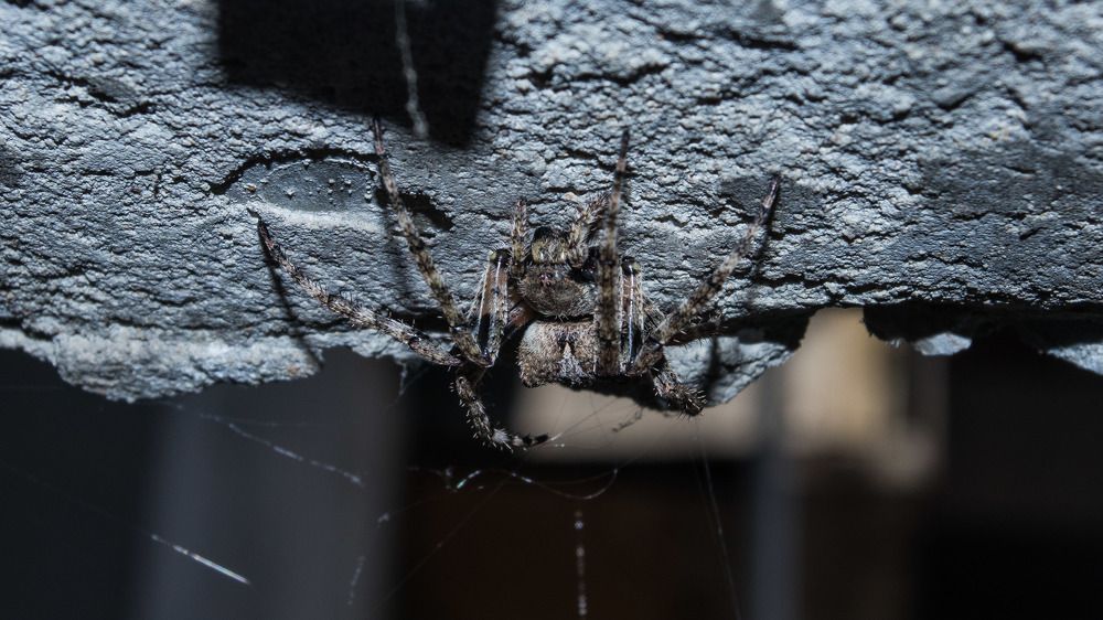 Photograph by Олег Башкуров