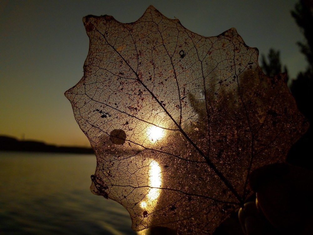 Photograph by Татьяна Пальчикова