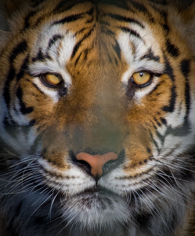 Photograph by Hosein Mayeli