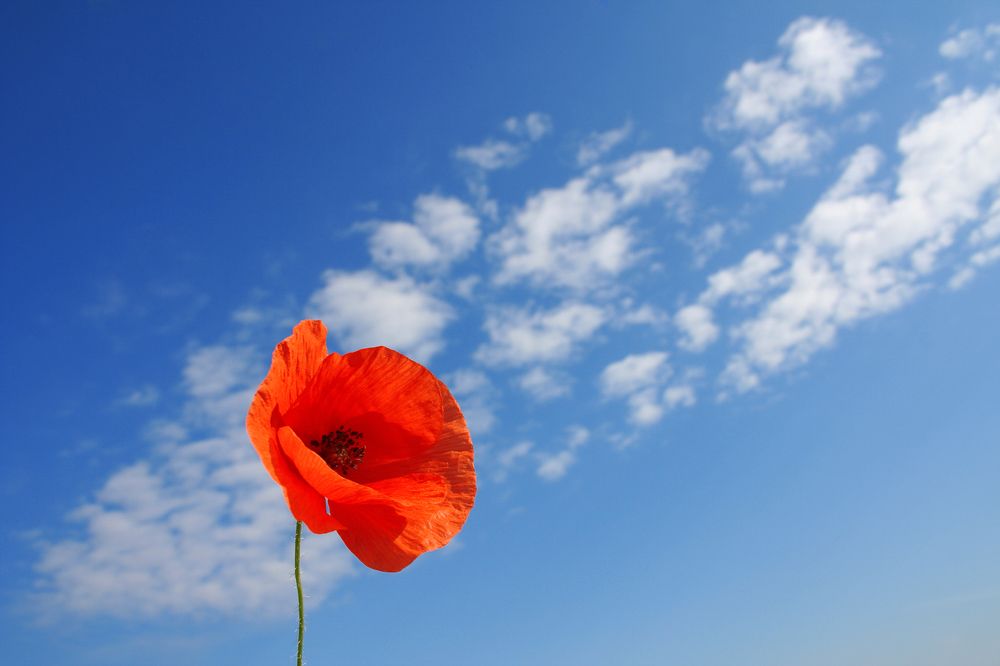 Photograph by Natalya Chumak