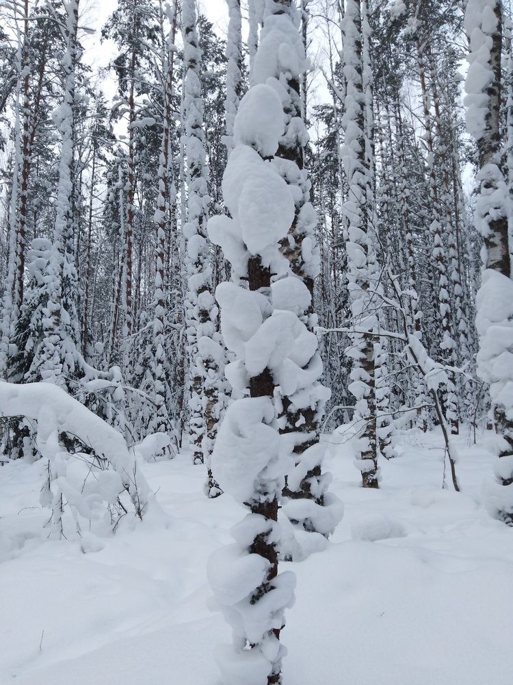 Photograph by Елена Малкова