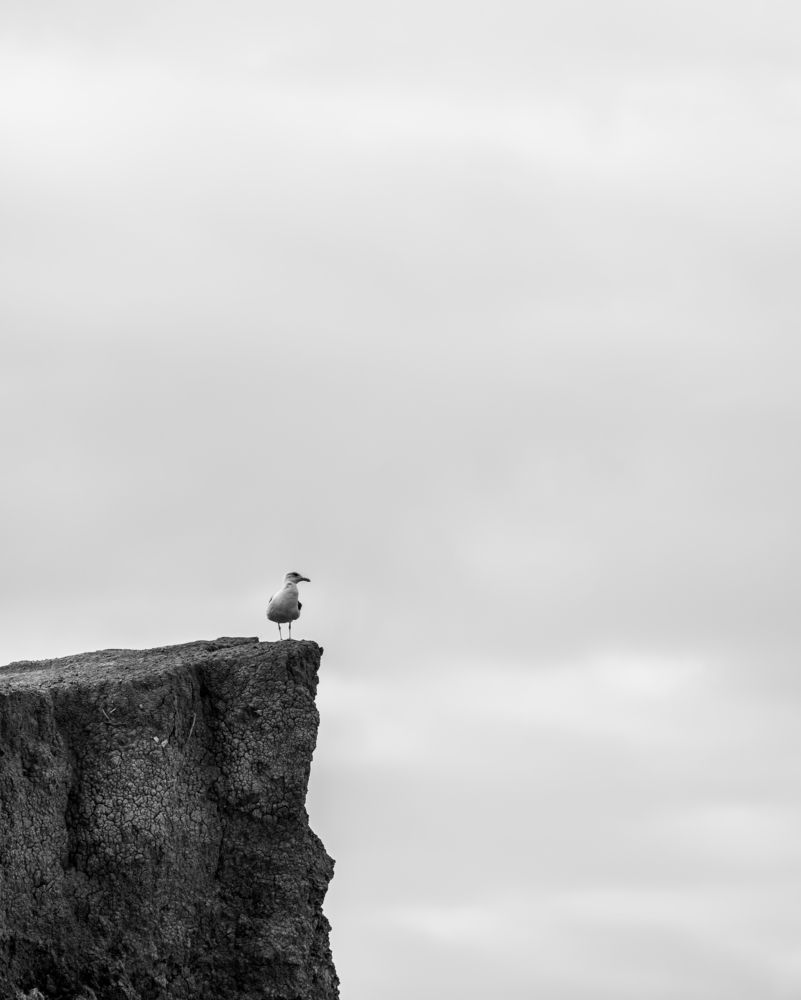 Photograph by Александр Шинкаревский