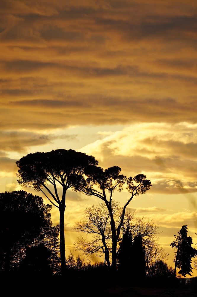 Photograph by Марина Неберекутина