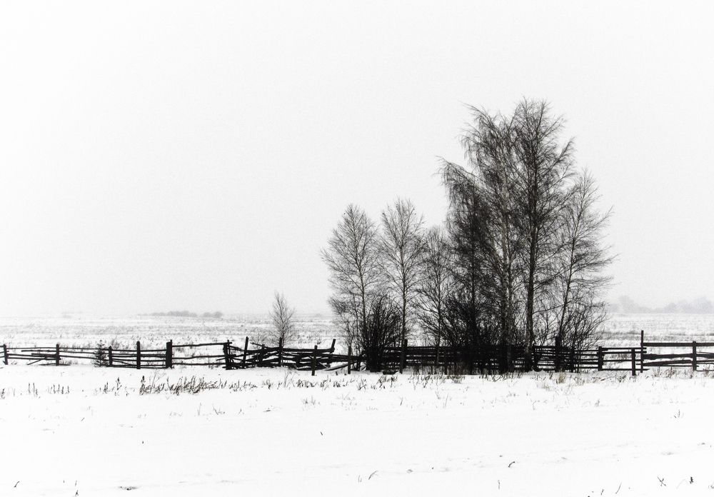 Photo #7077135
