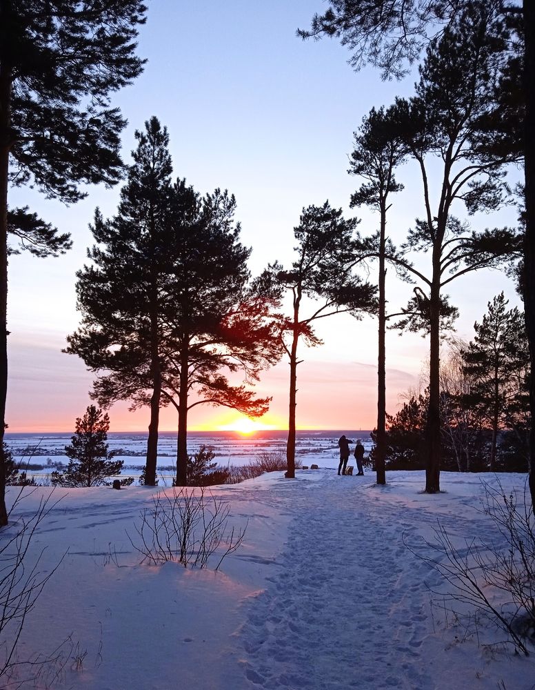 Photo #7077160