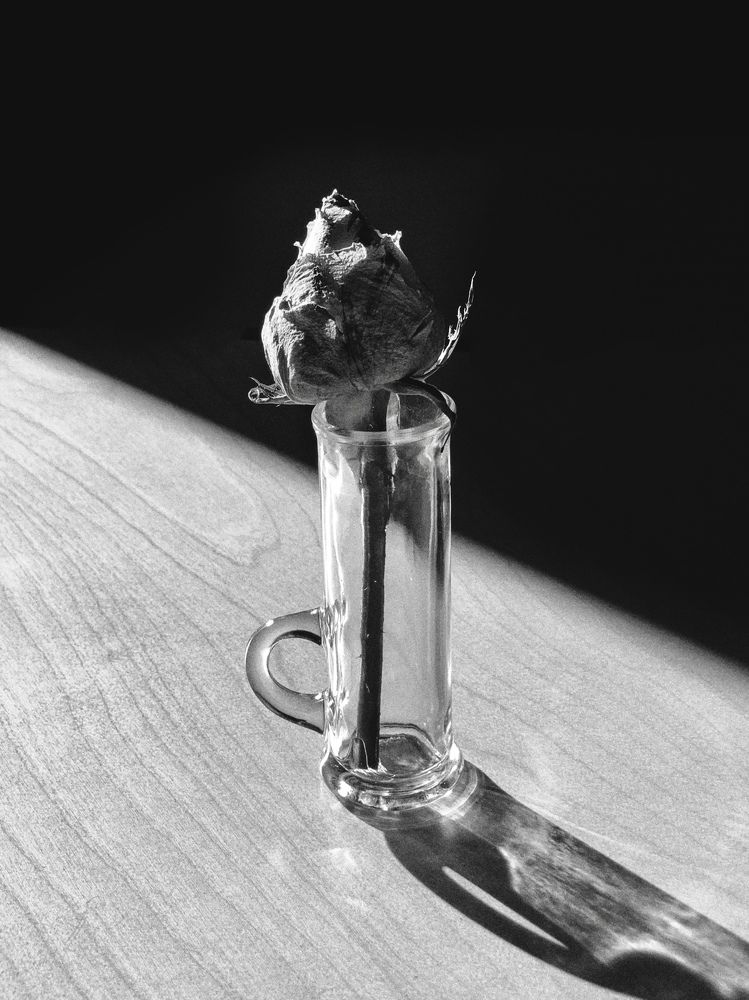 Photograph by Марина Неберекутина