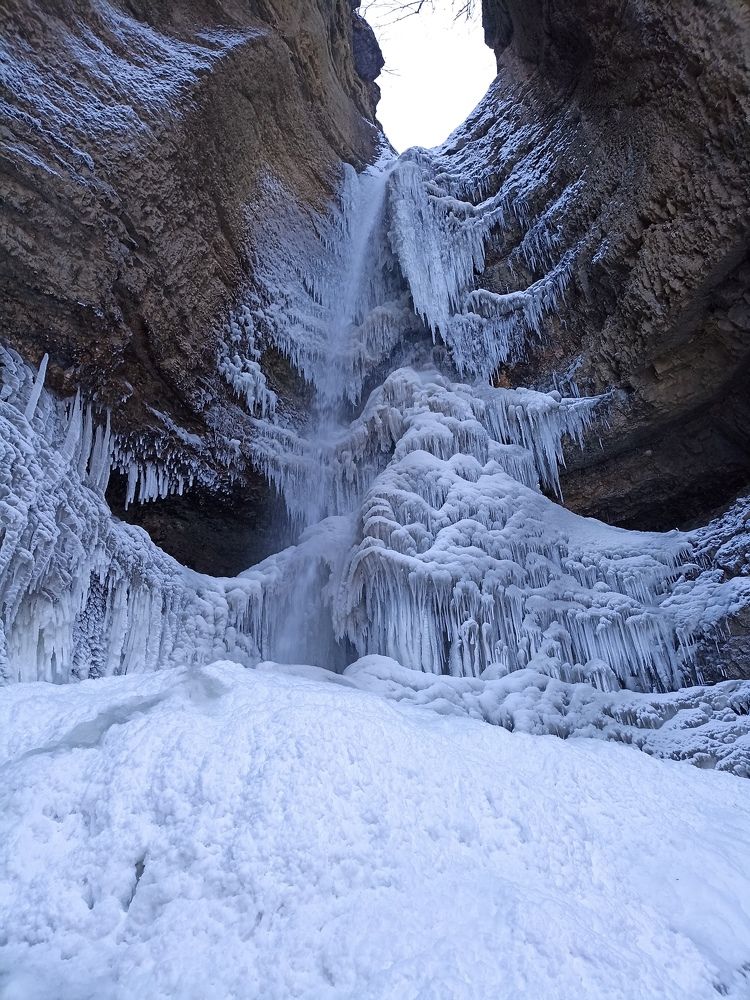 Photograph by Елена