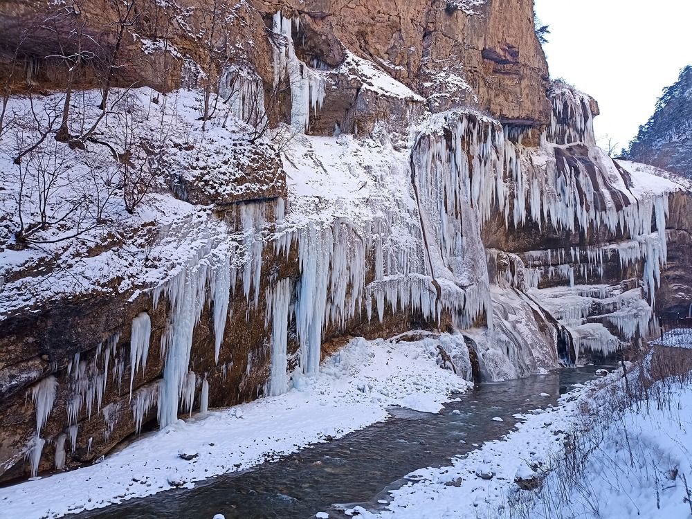 Photograph by Елена