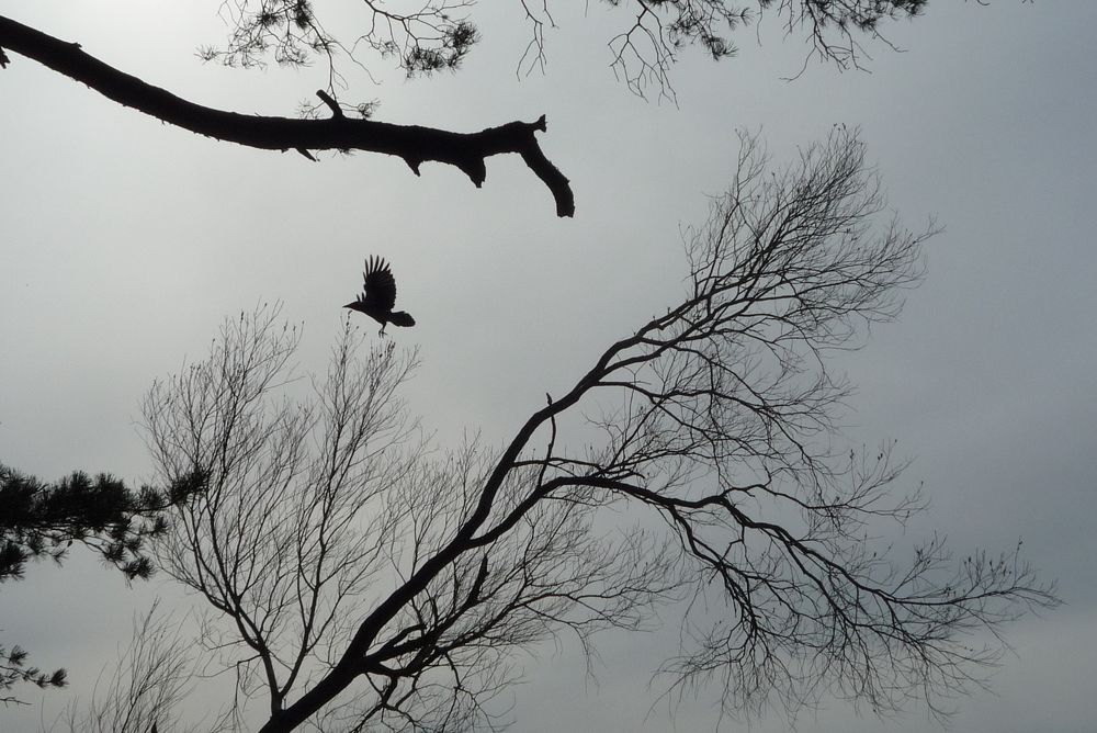 Photograph by Людмила