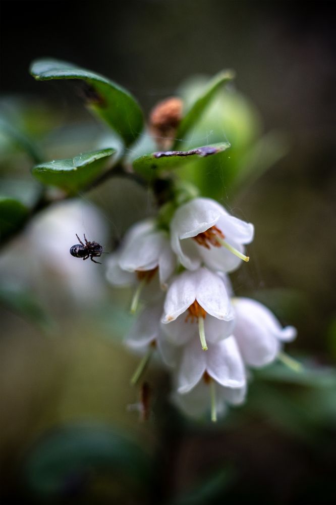 Photograph by Андрей Кульков