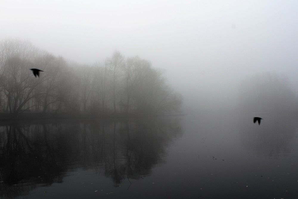 Photograph by Светлана Веселовская