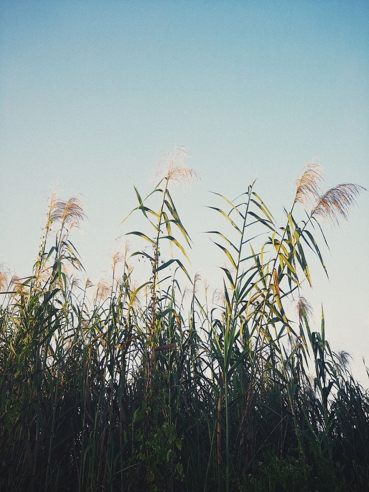 Photograph by Sa Biru