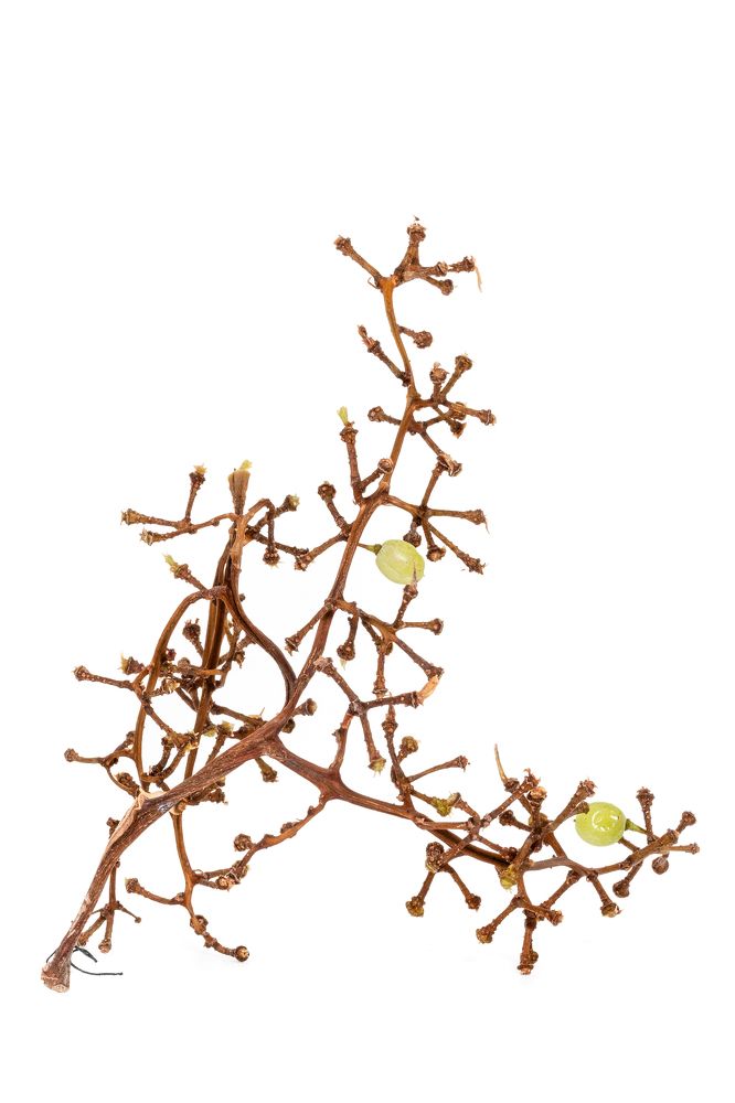 Photograph by Андрей Кульков