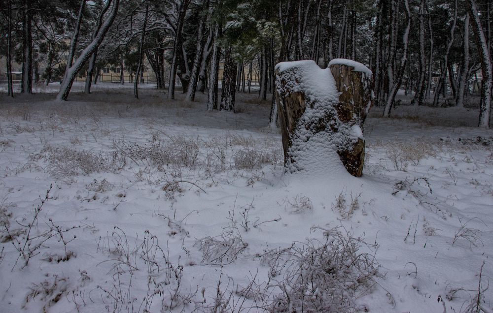 Photograph by Олег Башкуров