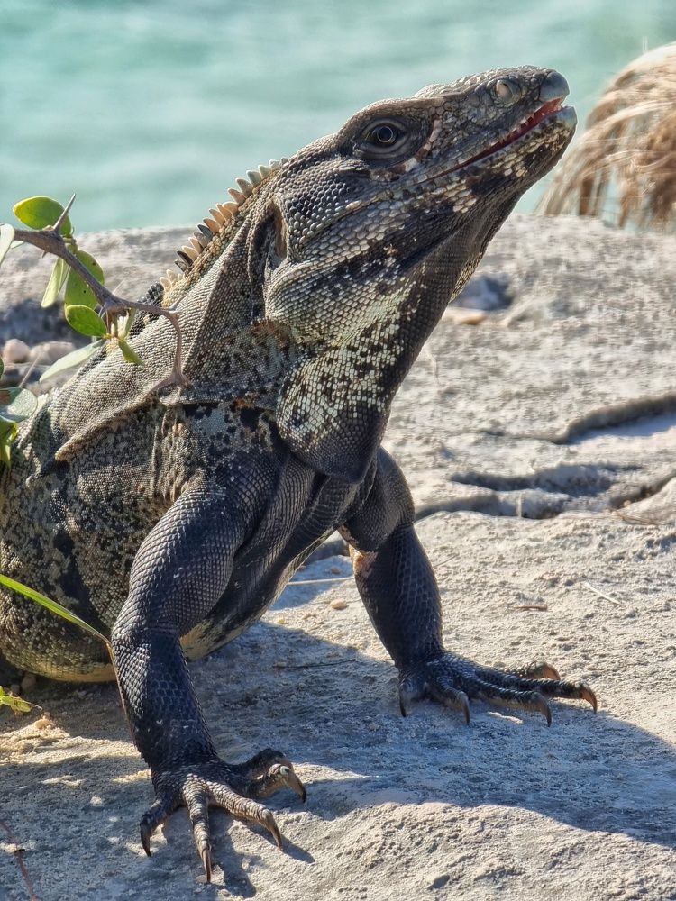 Photograph by Павел Токарев