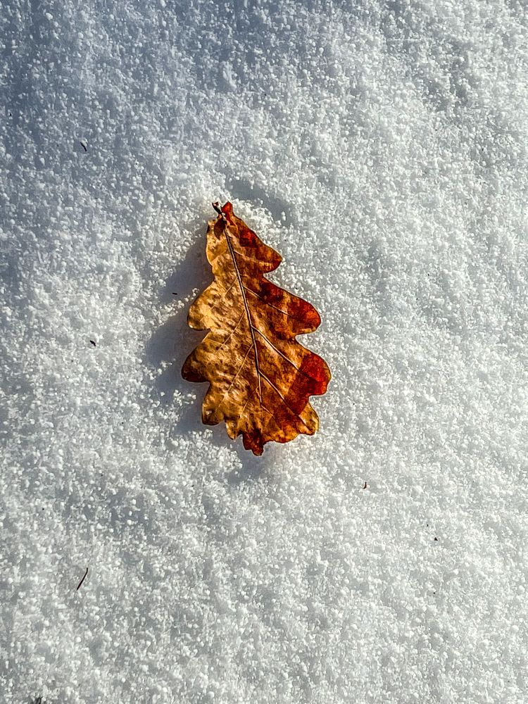 Последний лист