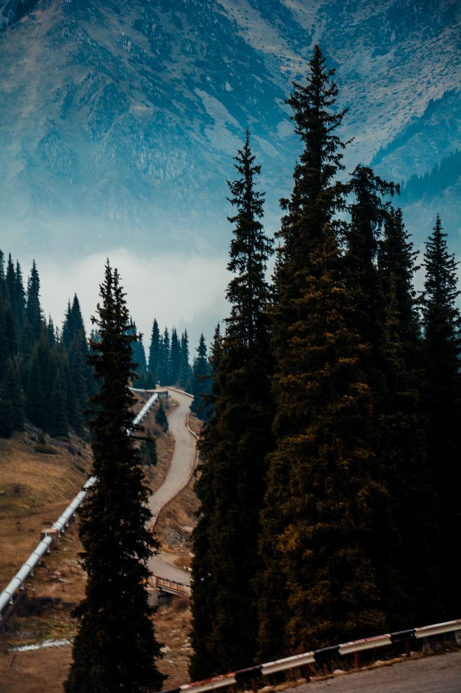 Photograph by Юлия Подлеснова