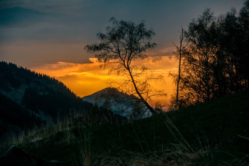 Photograph by Юлия Подлеснова