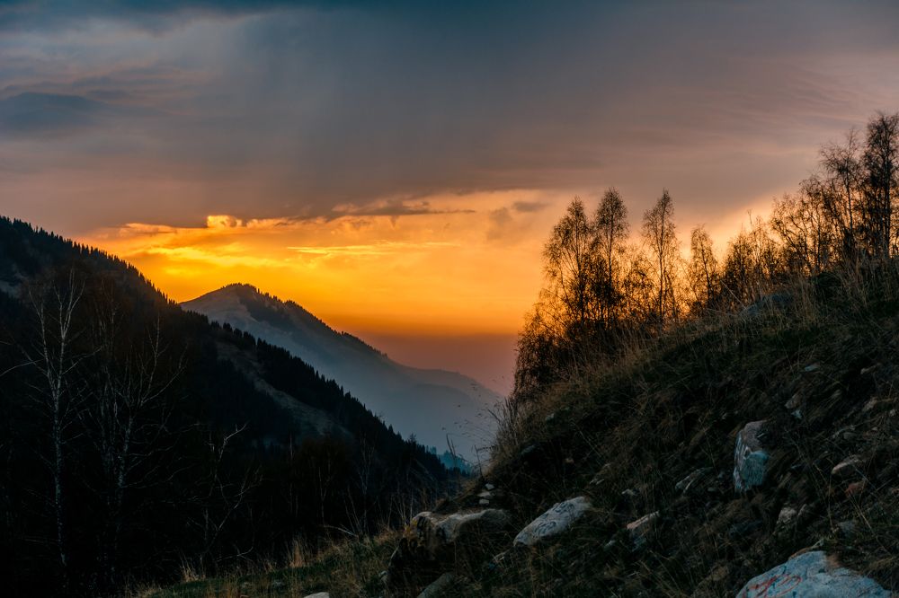 Photograph by Юлия Подлеснова