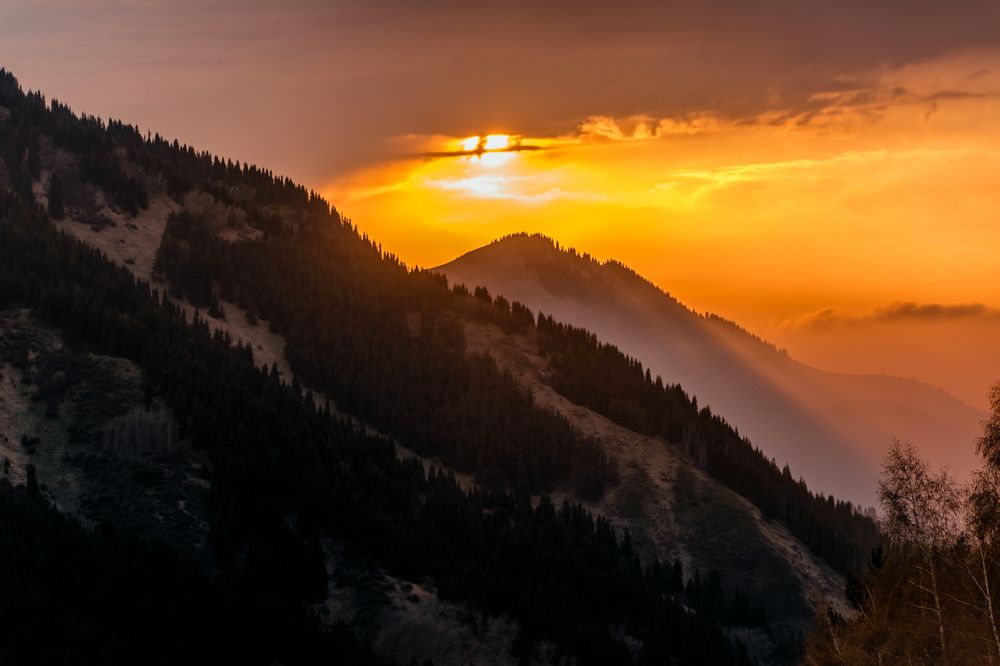 Photograph by Юлия Подлеснова