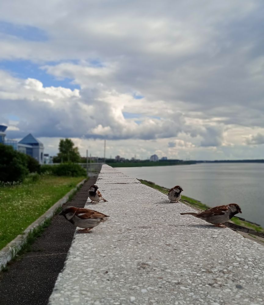 Photograph by Елена Гальцова