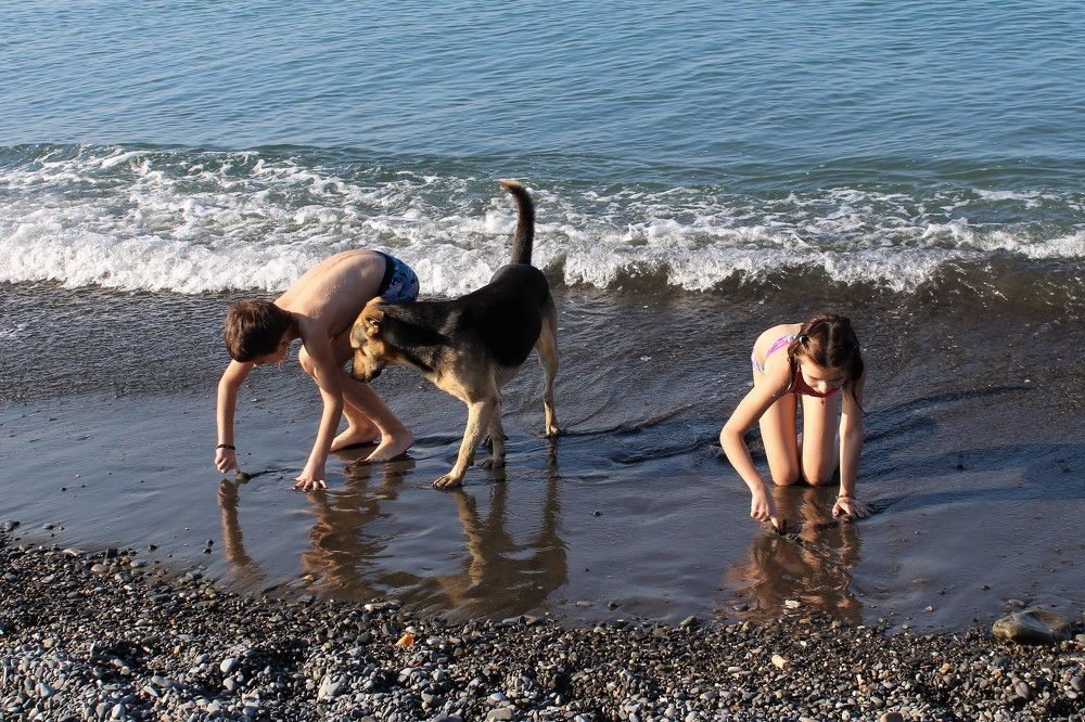 Photograph by Светлана Веселовская