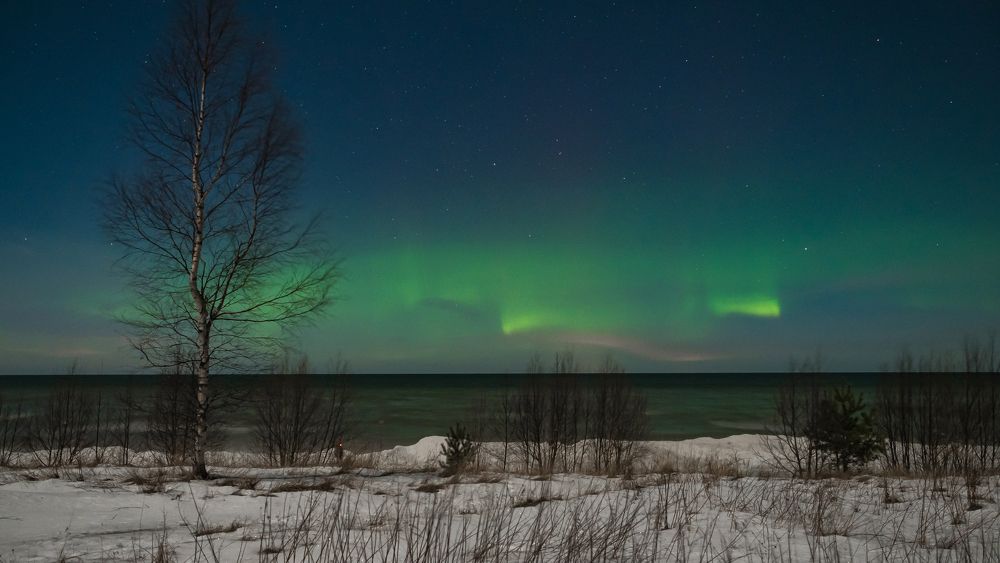 Photograph by Линк Ольга