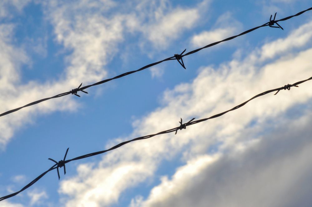 Photograph by Михаил Кинеев