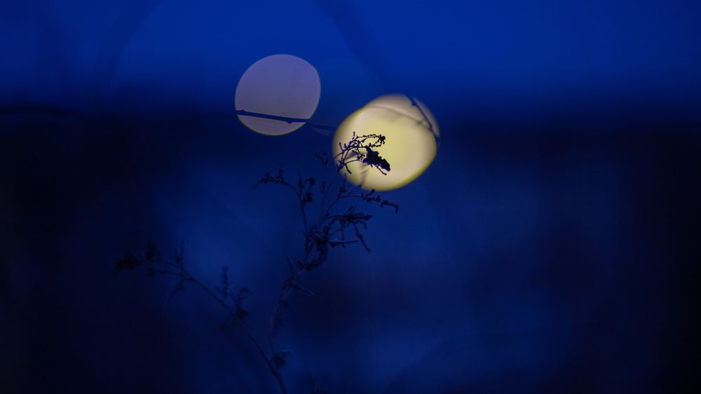 Photograph by Скорняков Андрей