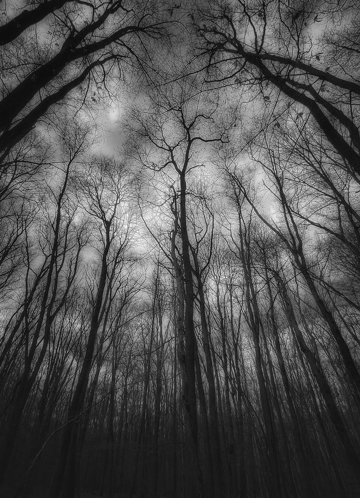 Photograph by Mariana Ștefania Odințoi