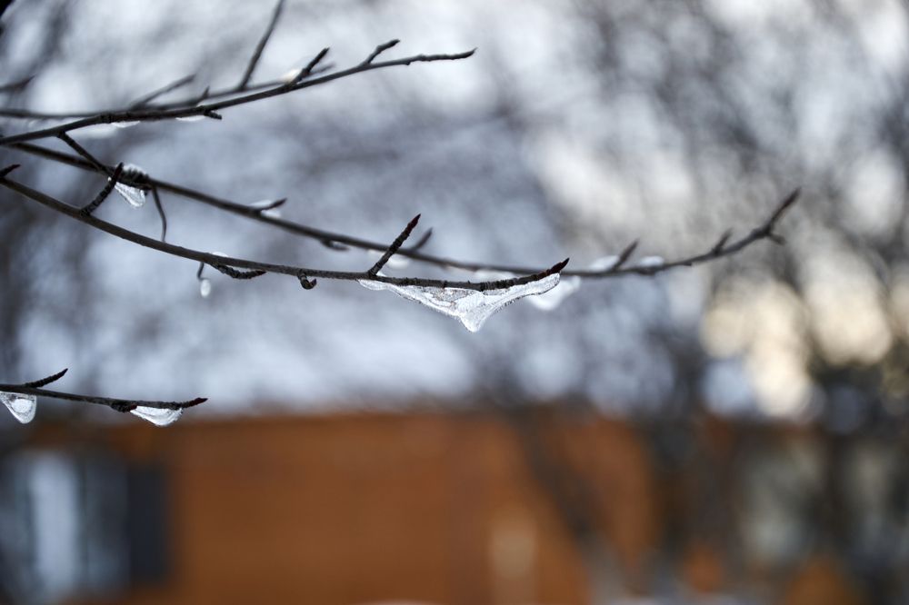 Капельки замёрзли.