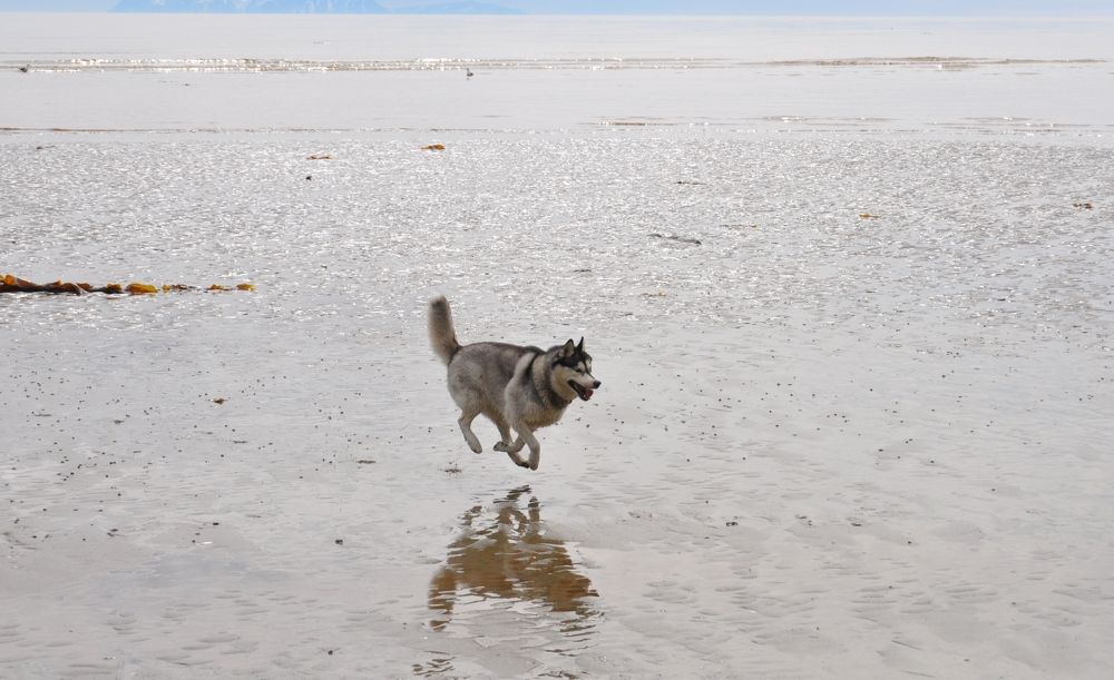 Photograph by Евгений Захаров