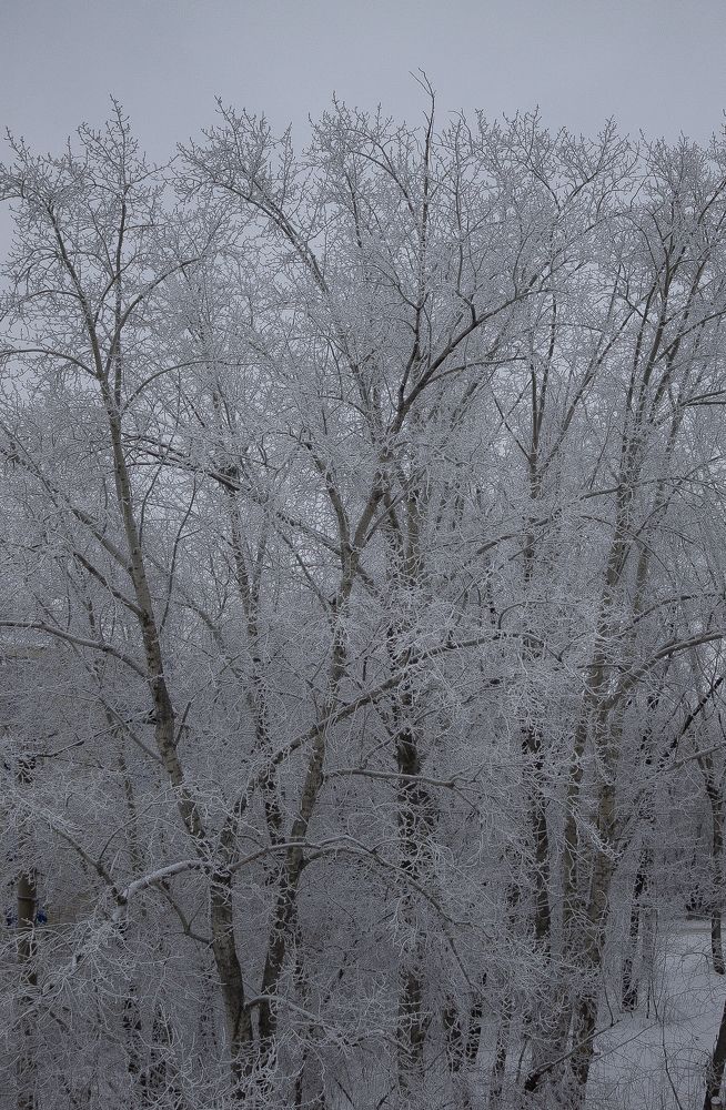 Photograph by Елена Елизарьева