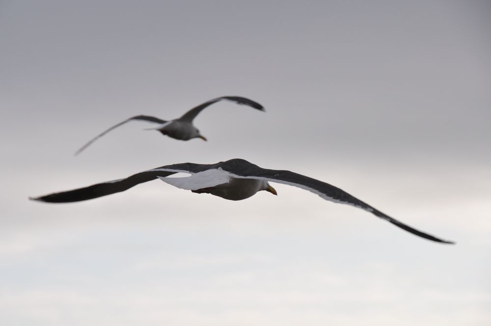 Photograph by Евгений Захаров