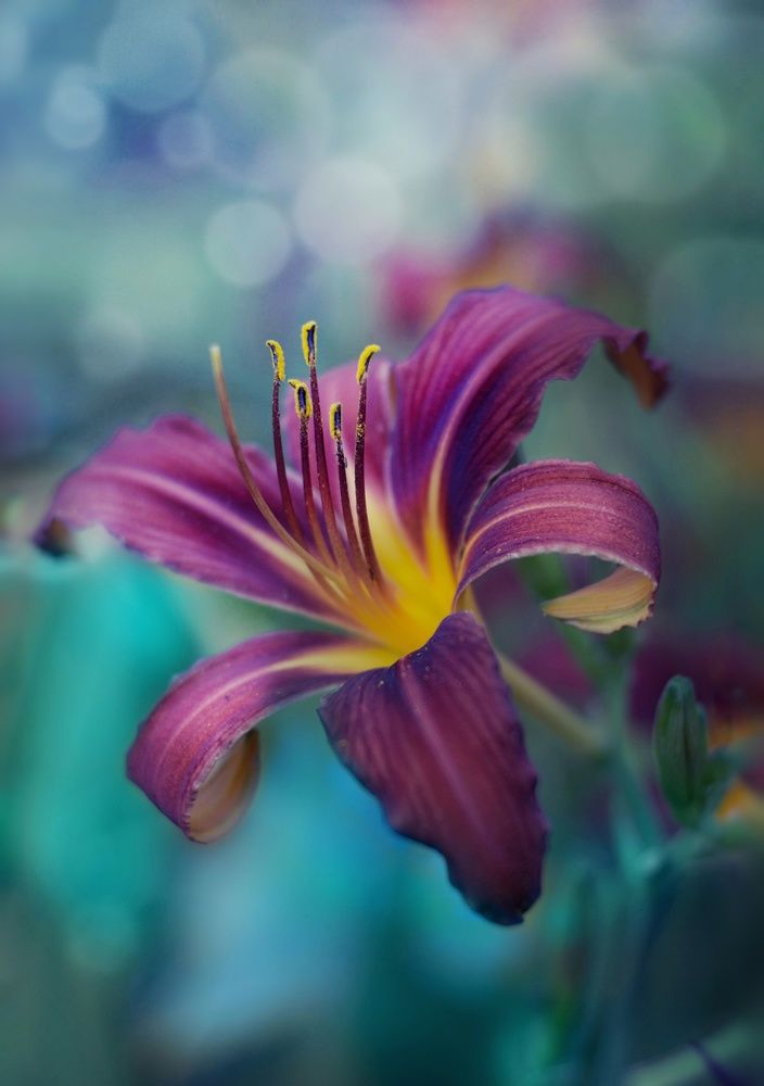 Photograph by Юлия Марфонова