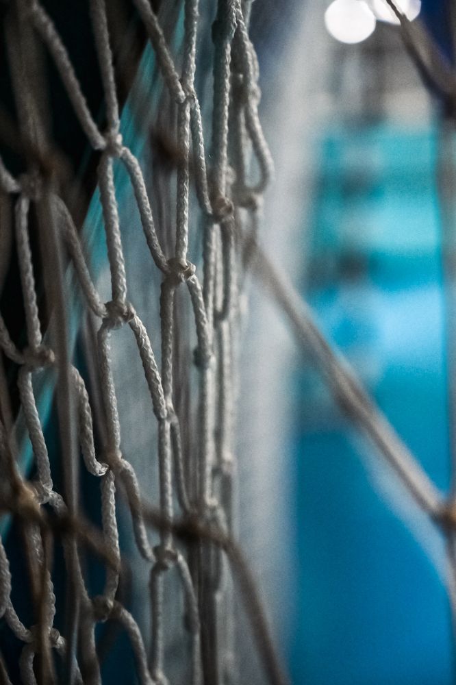 Photograph by Ольга Кудина