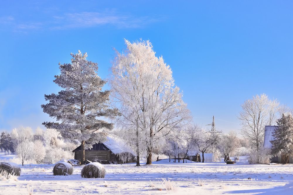 Photograph by Irina Nadolska
