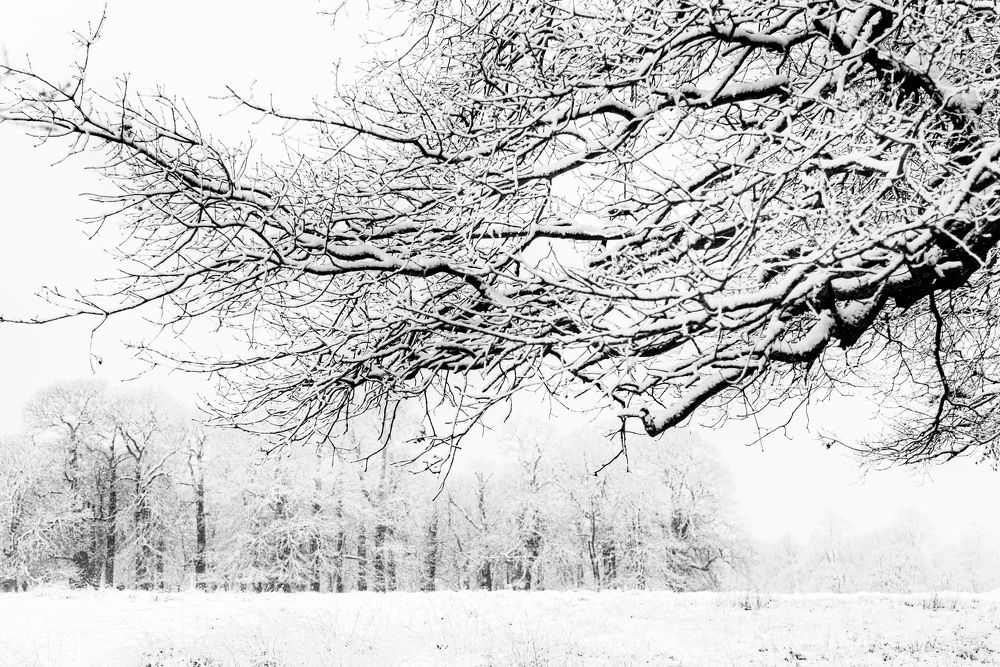 Photograph by Giacomo Giannelli