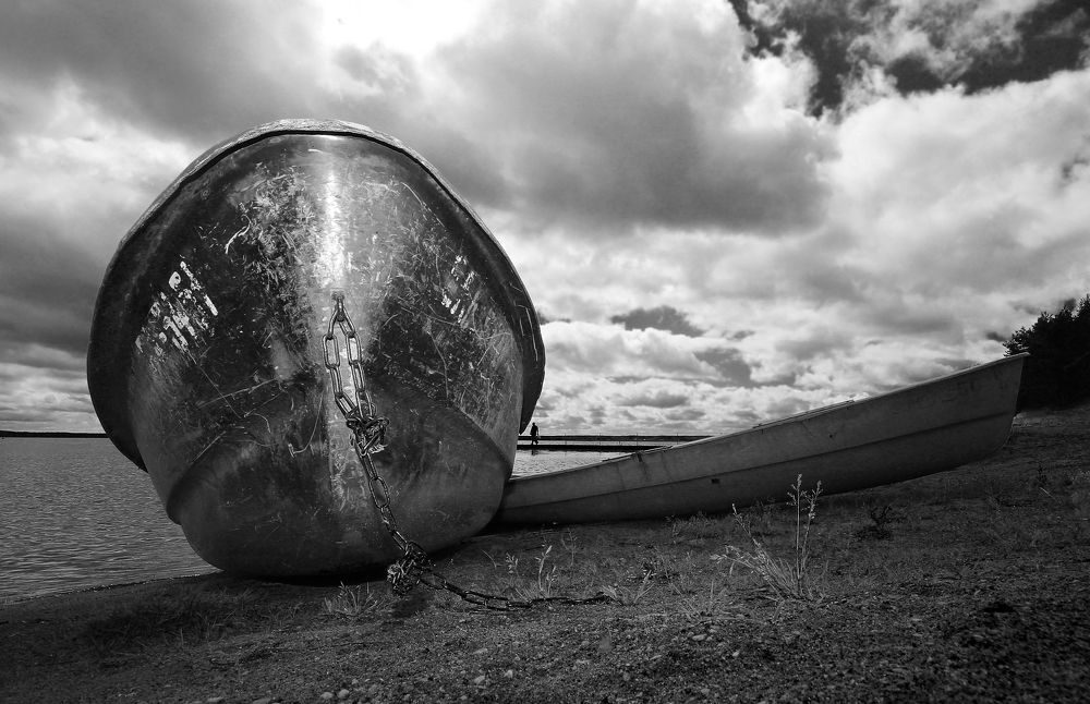 Photograph by Дмитрий Потапов